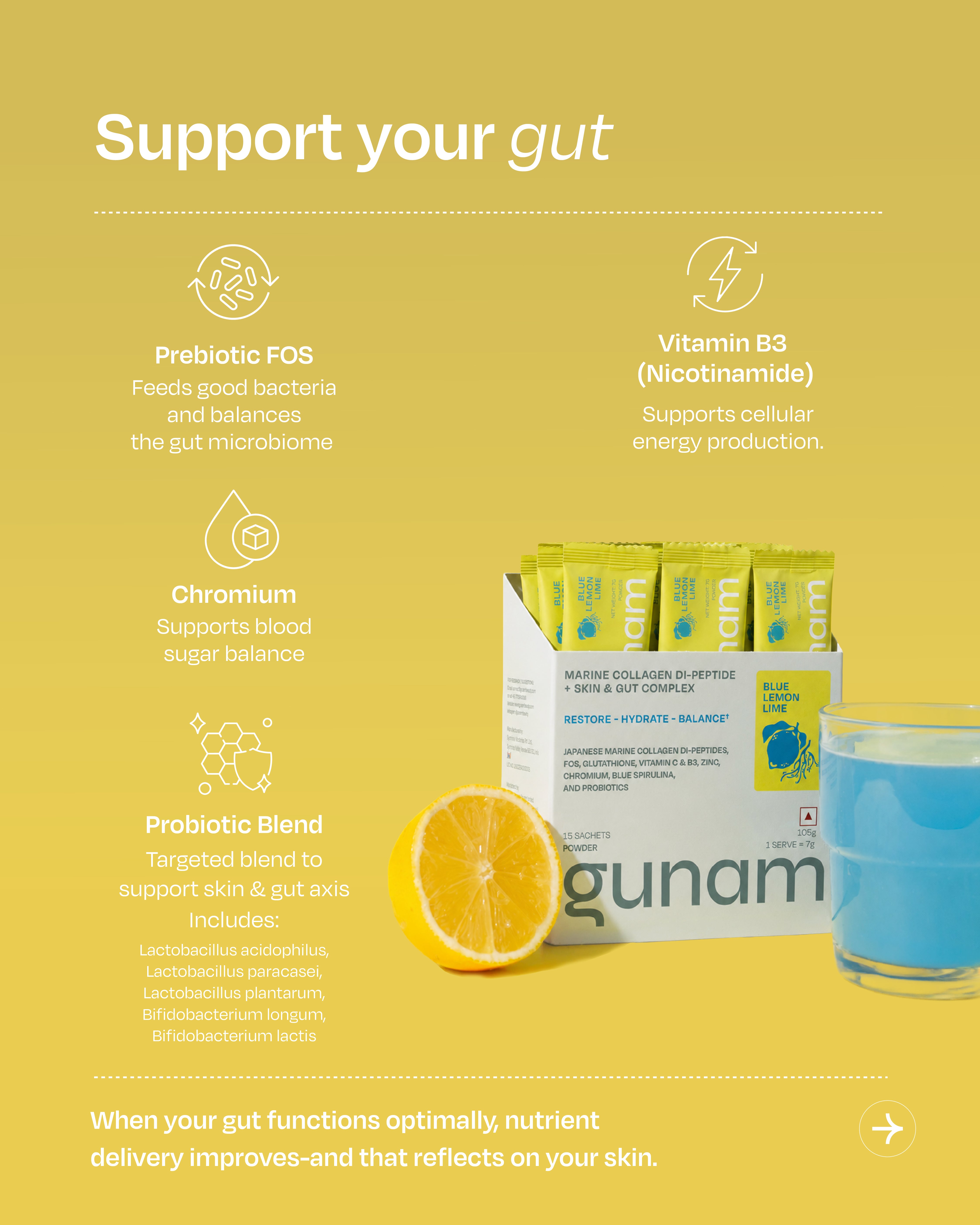 Marine Collagen Di-peptide + Skin & Gut Complex