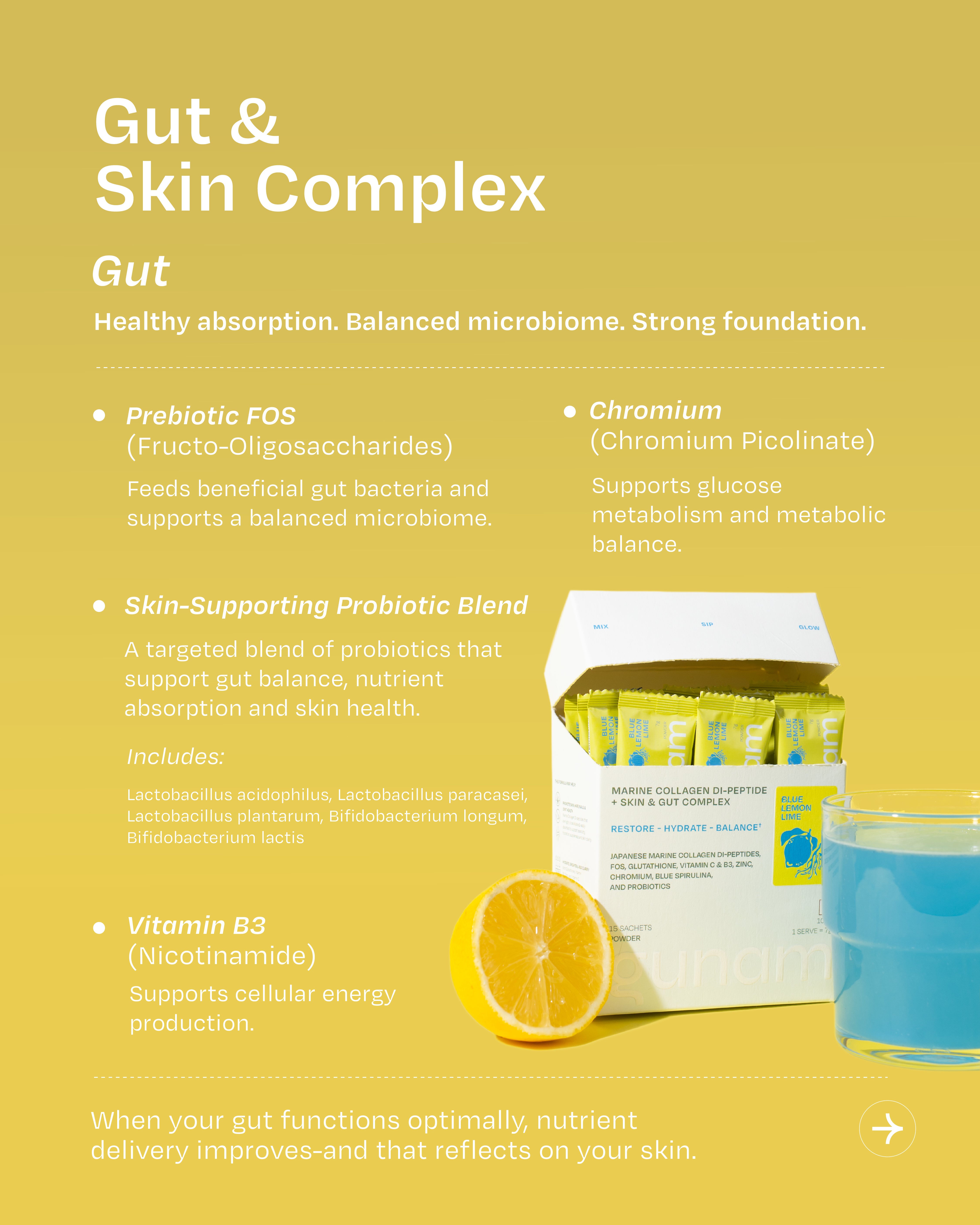 Marine Collagen Di-peptide + Skin & Gut Complex